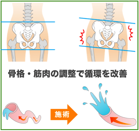 骨格・筋肉の調整で循環を改善